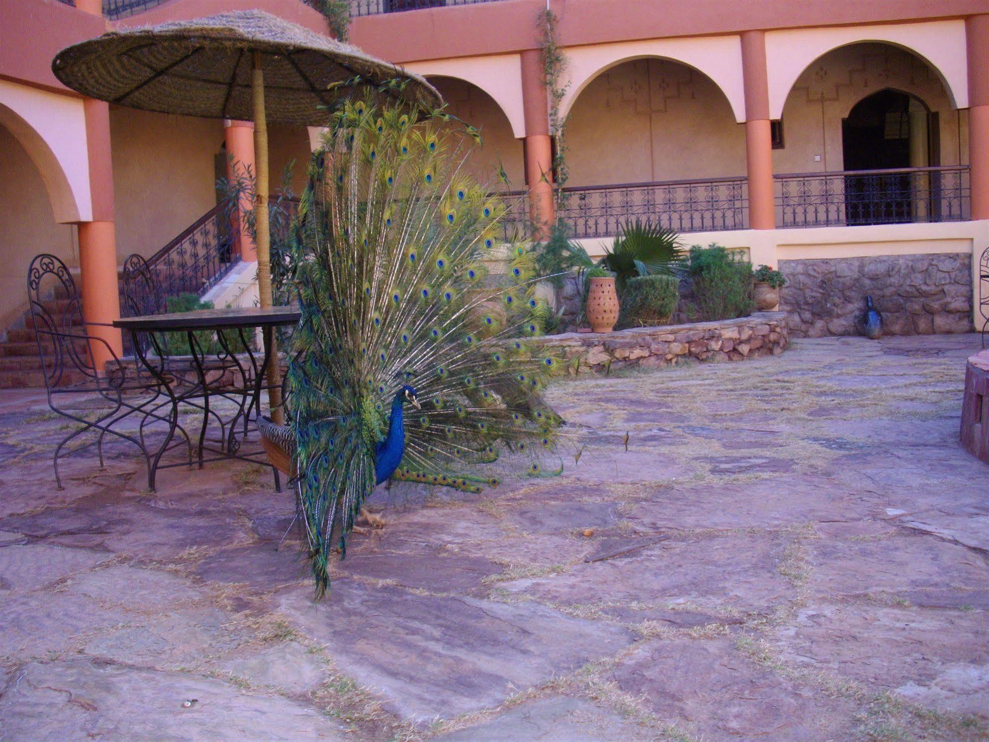 Kasbah Zitoune Tajda エクステリア 写真